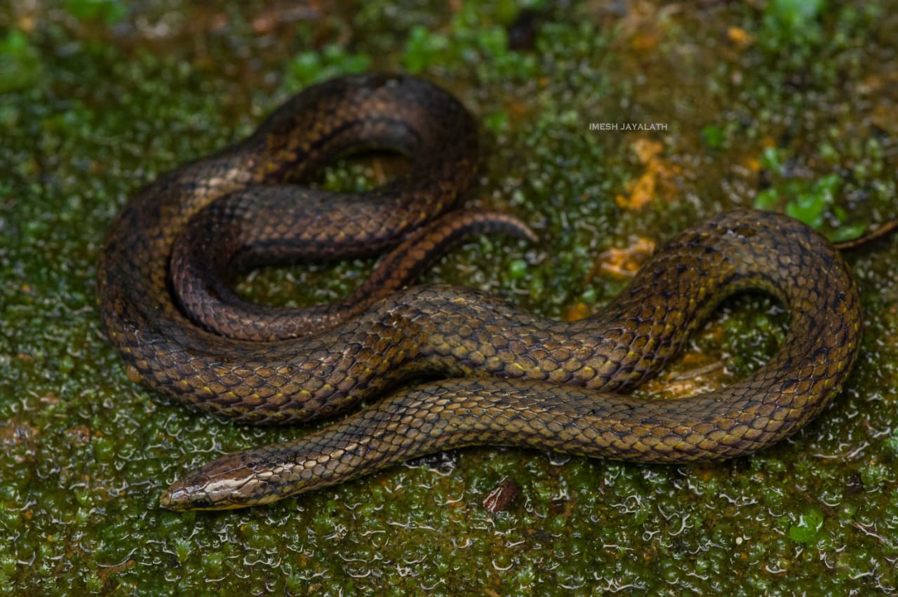 banner-one