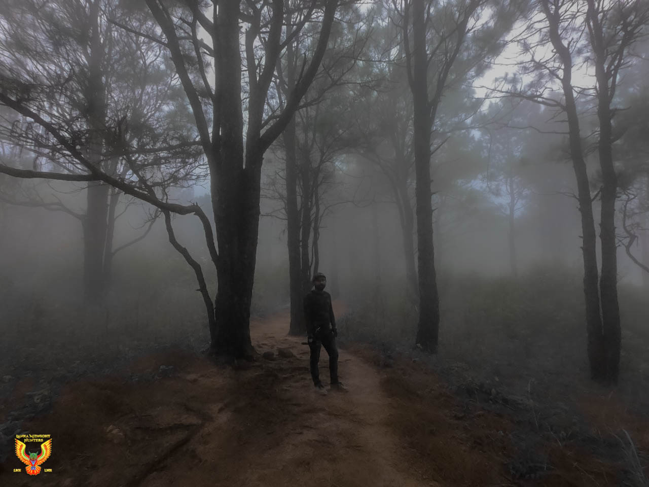 banner-one