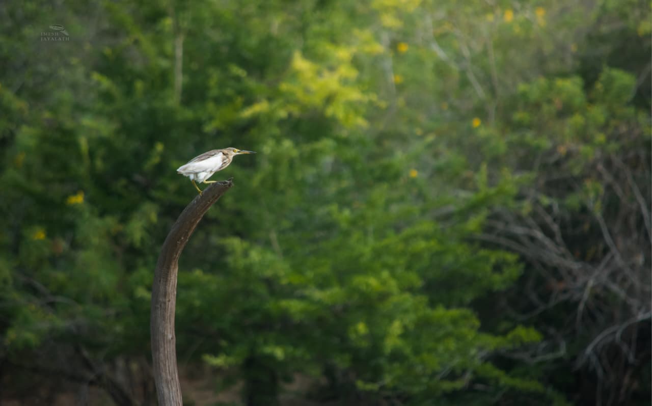 banner-one